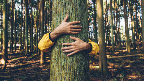 Person umarmt einen Baum Person umarmt einen Baum