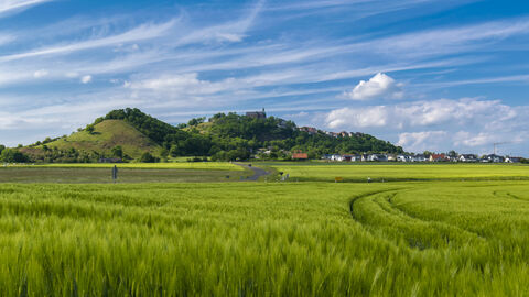 Blick auf den Berg Amöneburg