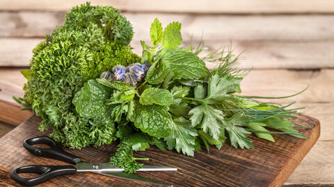 Küchenkräuter für Frankfurter Grüne Soße