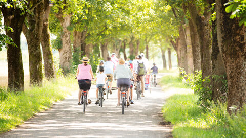 Eine Gruppe Radfahrer zwischen Bäumen Eine Gruppe Radfahrer zwischen Bäumen