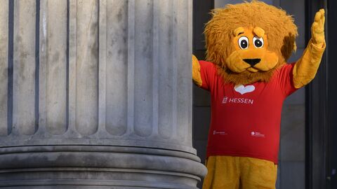 Ein großer Plüschlöwe steht hinter einer Säule