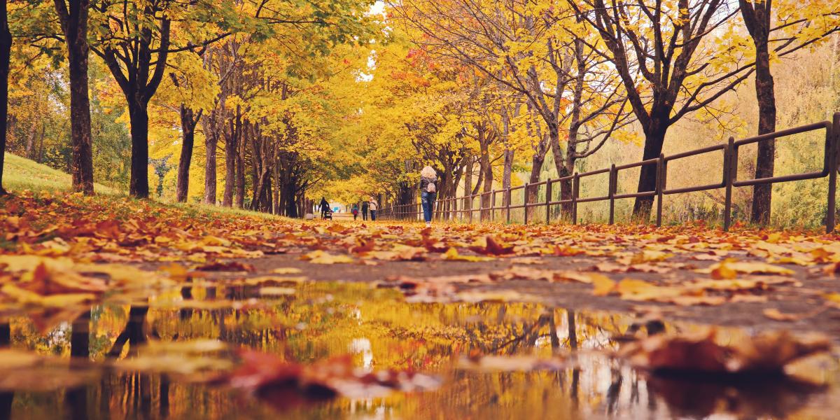 Start der Herbstferien in Hessen  hessen.de